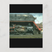 Amerikaanse Skyliner pose for_Steam Trains Briefkaart (Voorkant)