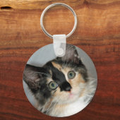 Amerikaanse Sleutelhanger Longhair Calico Shelter  (Voorkant)