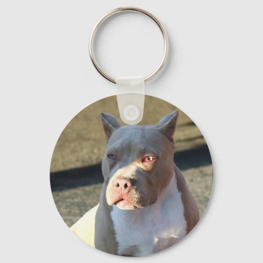 Amerikaanse sleutelhanger van Staffordshire Terrie (Voorkant)