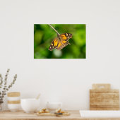 Amerikaanse Snout Butterfly op Branch Poster (Keuken)