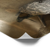 Amerikaanse soldaten slapen in een verlaten modder poster (Hoek)