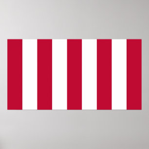 Amerikaanse Sons of Liberty 9 Vertical Strip Flag Poster