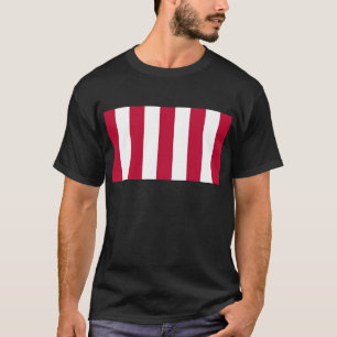 Amerikaanse Sons of Liberty 9 Vertical Strip Flag T-shirt