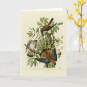 Amerikaanse Sparrow Hawk - Audubon's Birds of Amer Kaart (Gele Bloem)