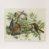 Amerikaanse Sparrow Hawk - Audubon's Birds of Amer Legpuzzel (Horizontaal)