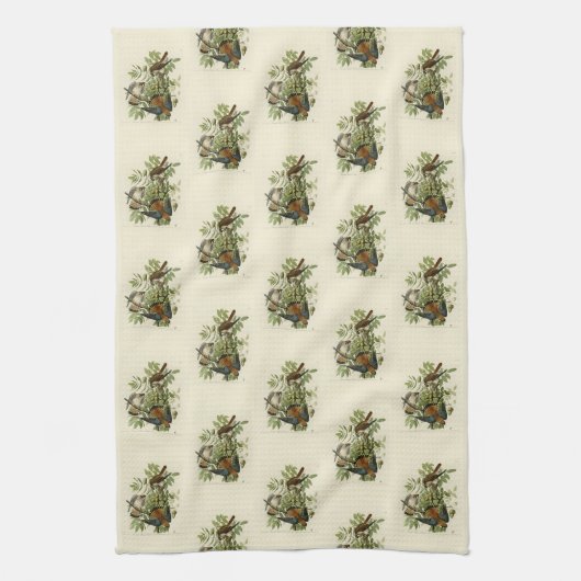 Amerikaanse Sparrow Hawk - Audubon's Birds of Amer Theedoek (Verticaal)