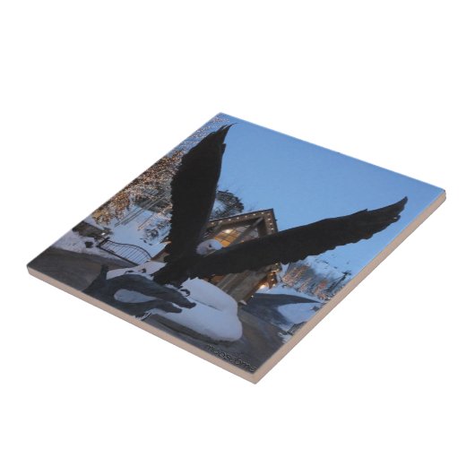 Amerikaanse staaftegel tegeltje (Zijkant)