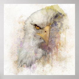 Amerikaanse staartwond Eagle-Waterverf Poster