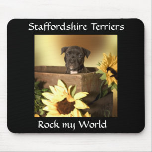 Amerikaanse Staffordshire Bull Terrier Puppy Muism Muismat