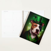Amerikaanse Staffordshire-hond in St. Patrick's Da Planner (Display)
