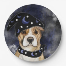 AMERIKAANSE STAFFORDSHIRE TERRIE