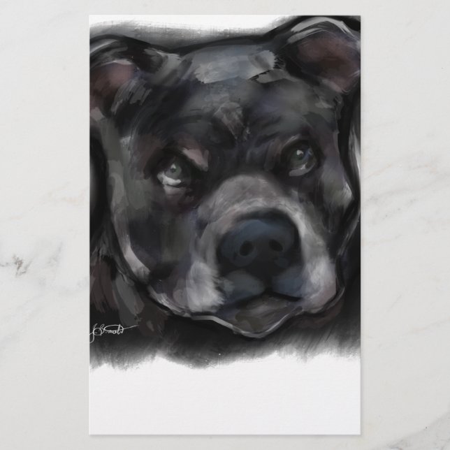 Amerikaanse Staffordshire Terrier (Voorkant)