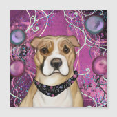 AMERIKAANSE STAFFORDSHIRE TERRIËR (Voorkant)