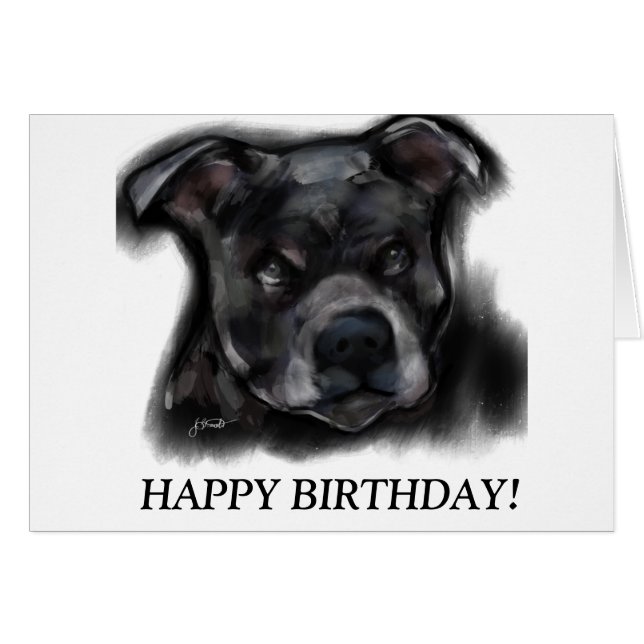 Amerikaanse Staffordshire Terrier (Voorkant Horizontaal)