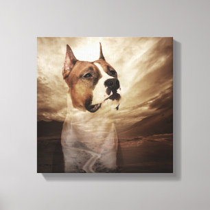 Amerikaanse Staffordshire Terrier - Amstaff Canvas Afdruk
