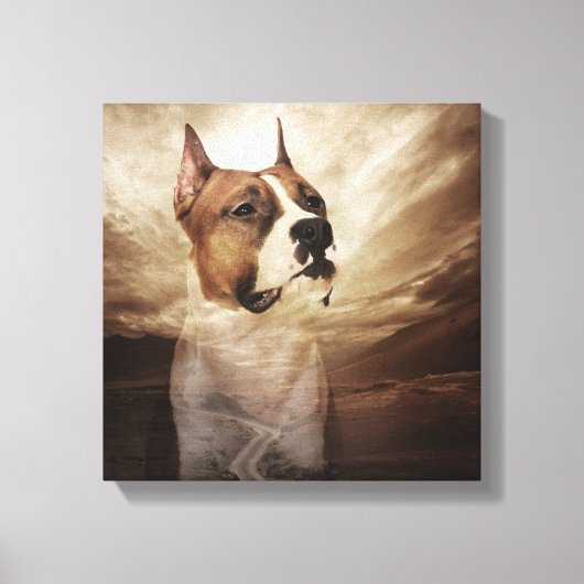 Amerikaanse Staffordshire Terrier - Amstaff Canvas Afdruk (Voorkant)