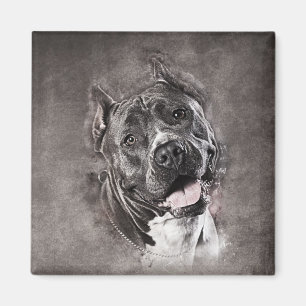 Amerikaanse Staffordshire Terrier - Amstaff Magneet