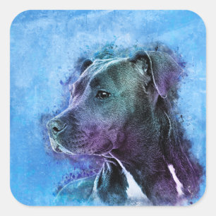 Amerikaanse Staffordshire Terrier - Amstaff Vierkante Sticker