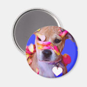 Amerikaanse Staffordshire Terrier Boxer Mix Puppy  Magneet (Voorkant / Achterkant)