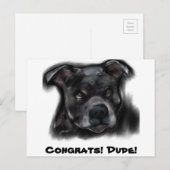 Amerikaanse Staffordshire Terrier Briefkaart (Voorkant / Achterkant)