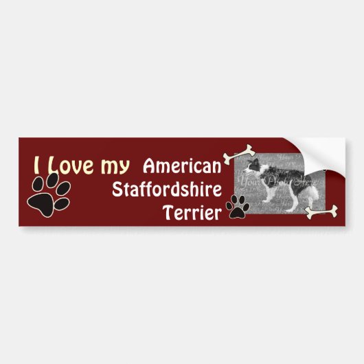 Amerikaanse Staffordshire Terrier Bumpersticker (Voorkant)