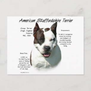 Amerikaanse Staffordshire Terrier geschiedenis, Briefkaart