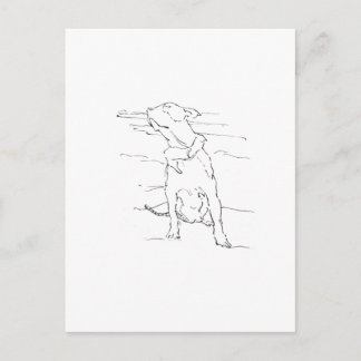 Amerikaanse Staffordshire Terrier Illustratie Briefkaart