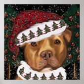 Amerikaanse Staffordshire Terrier Poster (Voorkant)