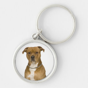 Amerikaanse Staffordshire Terrier Puppy Hond Sleut Sleutelhanger