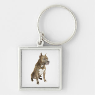 Amerikaanse Staffordshire Terrier Puppy Honden Sle Sleutelhanger