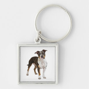 Amerikaanse Staffordshire Terrier Puppy Honden Sle Sleutelhanger