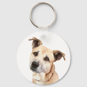 Amerikaanse Staffordshire Terrier Puppy Honden Sle Sleutelhanger