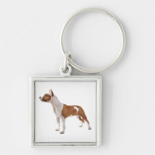 Amerikaanse Staffordshire Terrier Puppy Honden Sle Sleutelhanger