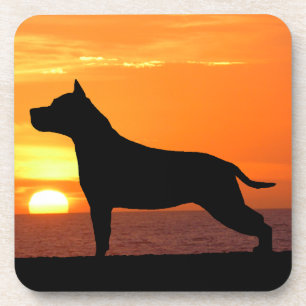 Amerikaanse Staffordshire Terrier Sunset Onderzett Bier Onderzetter