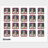 AMERIKAANSE STAFFORDSHIRE TERRIËR VIERKANTE STICKER (Vel)