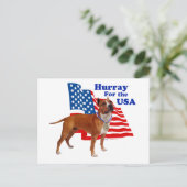 Amerikaanse Staffordshire Terrier VS Briefkaart (Staand voorkant)