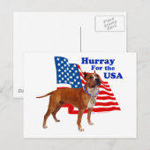 Amerikaanse Staffordshire Terrier VS Briefkaart (Voorkant / Achterkant)