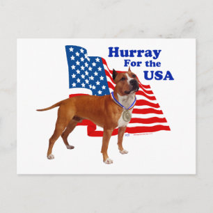 Amerikaanse Staffordshire Terrier VS Briefkaart