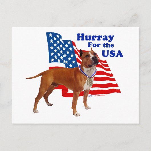 Amerikaanse Staffordshire Terrier VS Briefkaart (Voorkant)