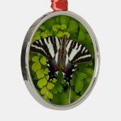 Amerikaanse stekelstaart metalen ornament (Rechts)