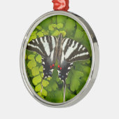 Amerikaanse stekelstaart metalen ornament (Links)