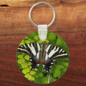 Amerikaanse stekelstaart sleutelhanger (Voorkant)