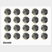 Amerikaanse Stickers van Staffordshire Terrier (Vel)