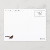Amerikaanse stierkikker in Acadia Briefkaart (Achterkant)