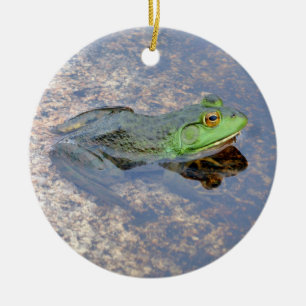 Amerikaanse stierkikker in Acadia Keramisch Ornament