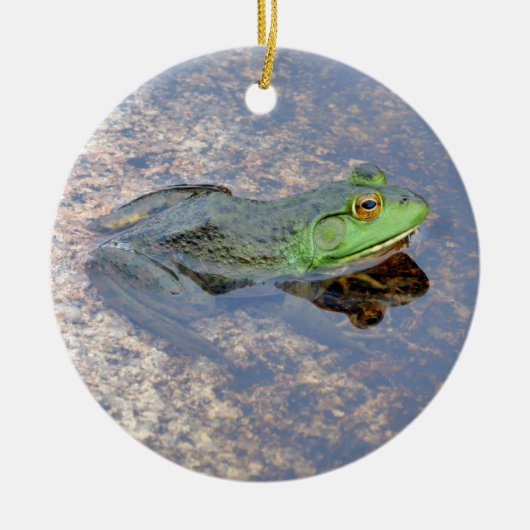 Amerikaanse stierkikker in Acadia Keramisch Ornament (Voorkant)