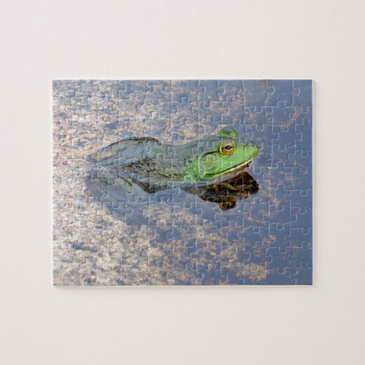 Amerikaanse stierkikker in Acadia Legpuzzel (Horizontaal)