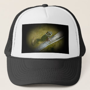 Amerikaanse stierkikker - Rana catesbeiana Trucker Pet