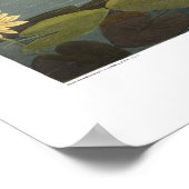 Amerikaanse Swan Audubon Art Poster (Hoek)