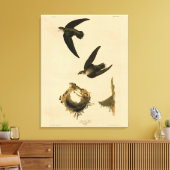 Amerikaanse Swift Audubon (Chimney), vogels van Am Canvas Afdruk (Insitu (Woonkamer))